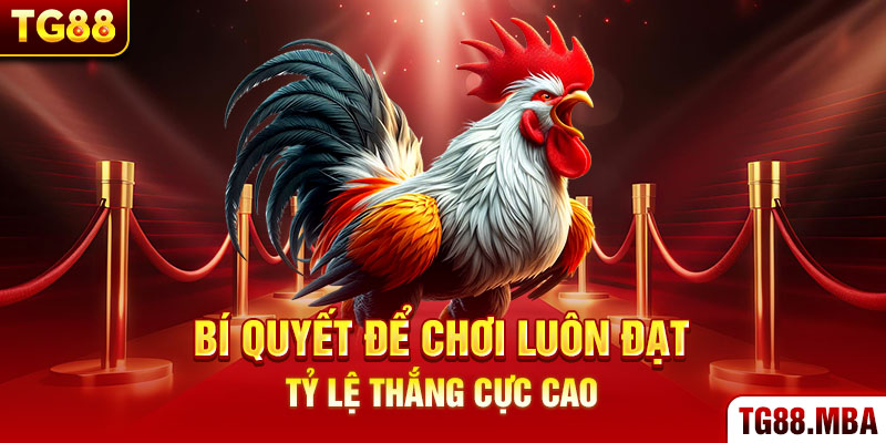 Bí quyết để chơi luôn đạt tỷ lệ thắng cực cao