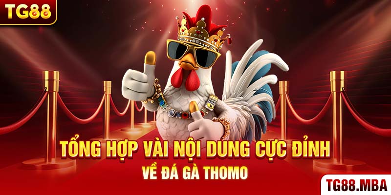 Tổng hợp vài nội dung cực đỉnh về đá gà thomo